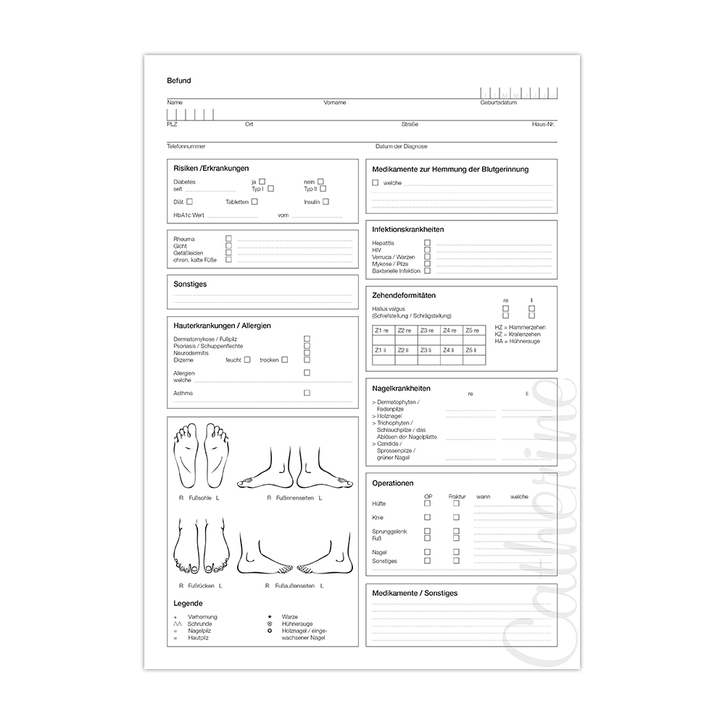 Zákaznická karta Wellvet DIN A4